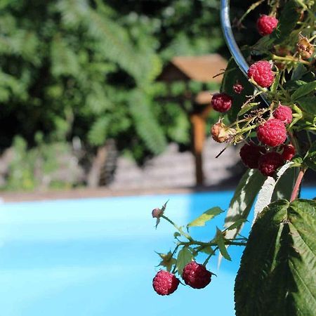 Bed and Breakfast Le Chat Botte - Vankantiehuis In Languedoc-Roussillion Routier Exterior foto